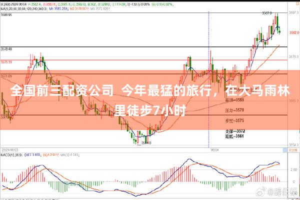 全国前三配资公司  今年最猛的旅行，在大马雨林里徒步7小时