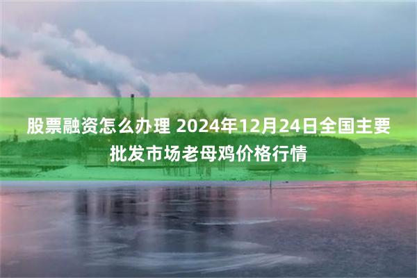 股票融资怎么办理 2024年12月24日全国主要批发市场老母鸡价格行情