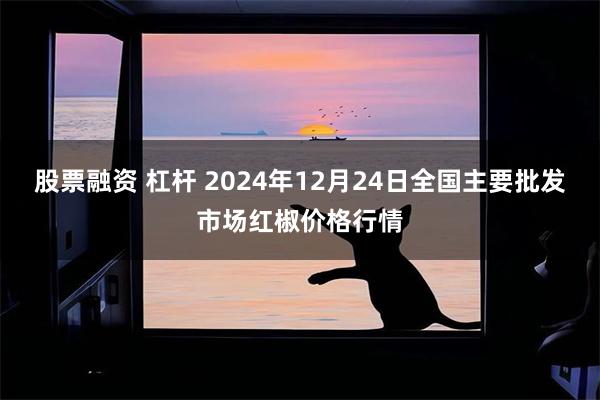 股票融资 杠杆 2024年12月24日全国主要批发市场红椒价格行情