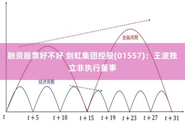 融资股票好不好 剑虹集团控股(01557)：王波独立非执行董事