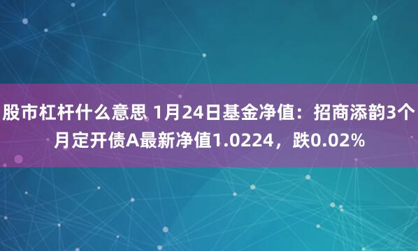 股市杠杆什么意思 1月24日基金净值：招商添韵3个月定开债A最新净值1.0224，跌0.02%