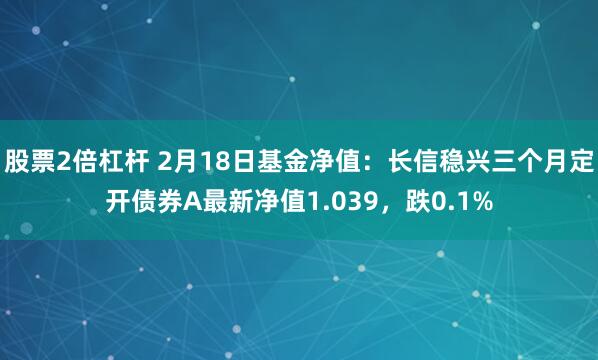 股票2倍杠杆 2月18日基金净值：长信稳兴三个月定开债券A最新净值1.039，跌0.1%